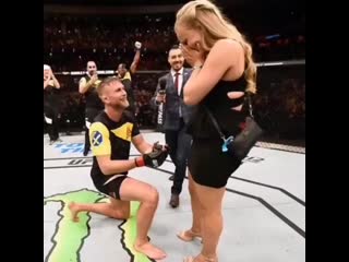 alexander gustafsson