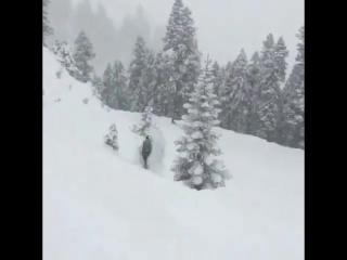 skier