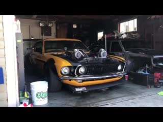 what does a mustang sound like?